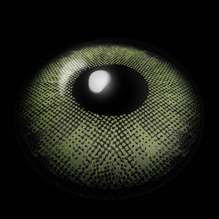 Eternity Green | 1 Year