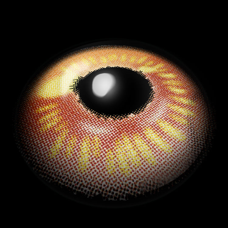 Golden Orange Hues Contact Lenses 3D Display