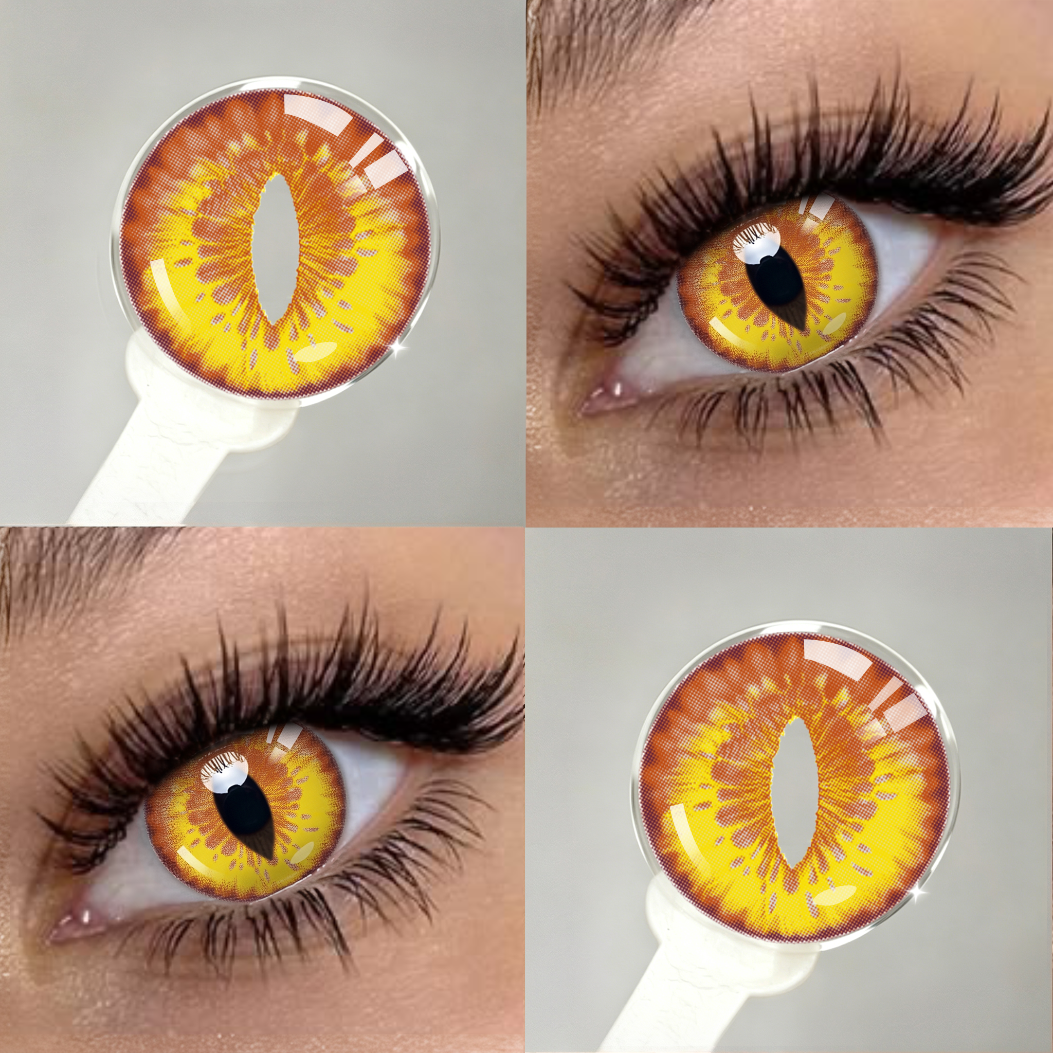 Golden Ruby Cat's Eye | 6 Months