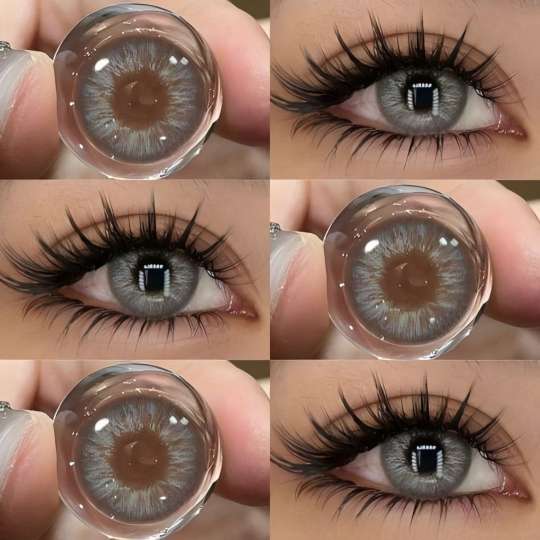 パリ ファイアーワークス ブラウン | 6ヶ月