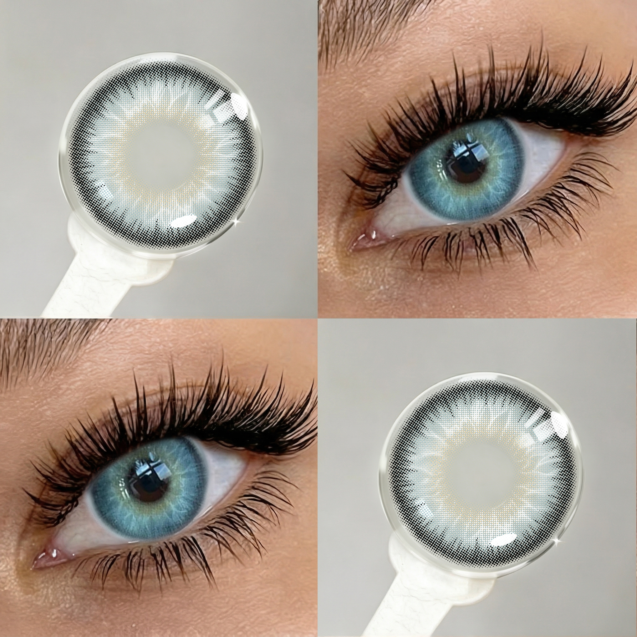 Freesia Blue | 6 Months