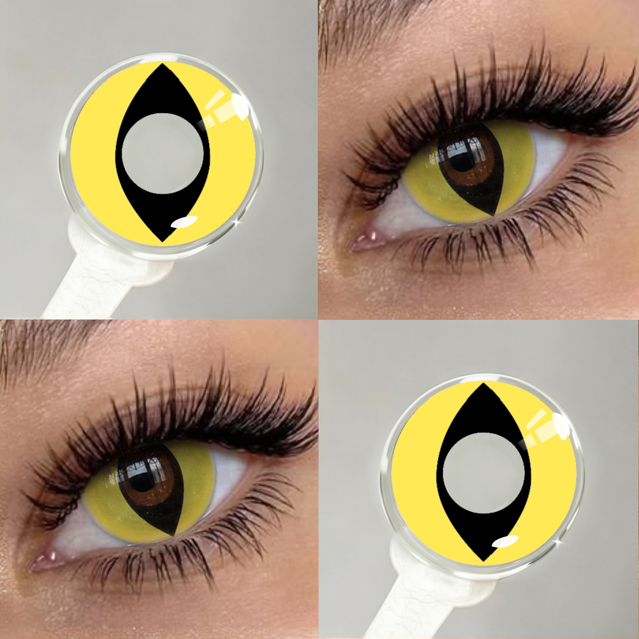 Solar Eclipse Catseye | 6 Months