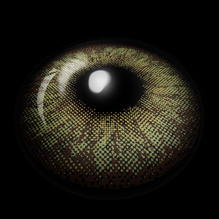 Monet's Garden Brown Contact Lenses 3D Display