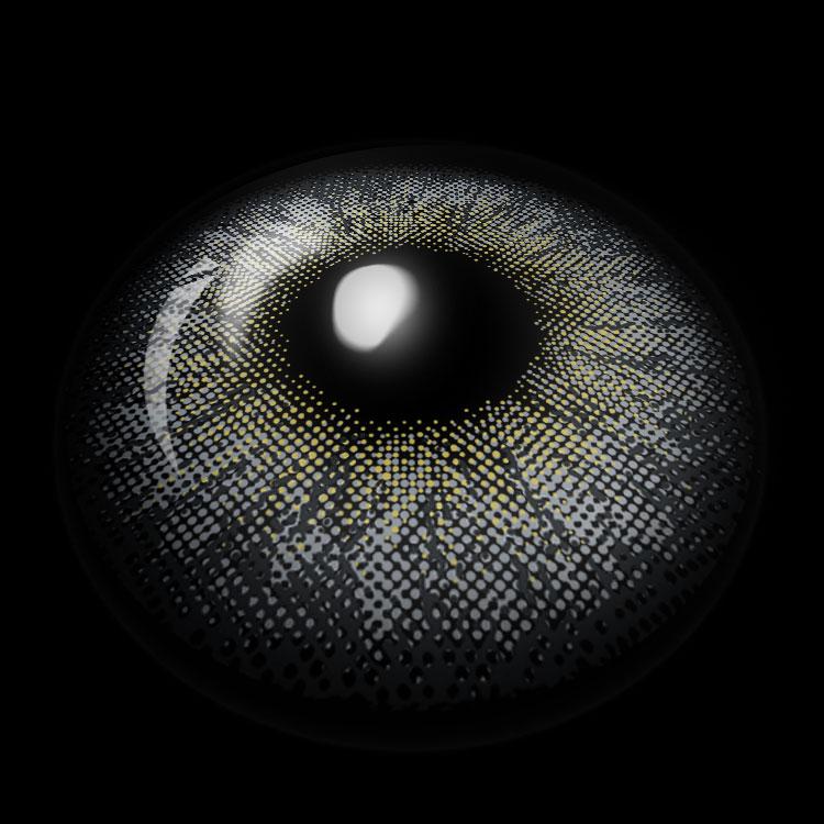 Da Vinci's Enigma Gray Contact Lenses 3D Display