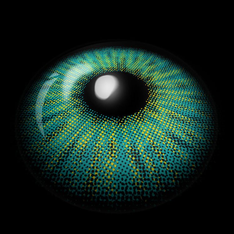 Forest Spark Green Contact Lenses 3D Display