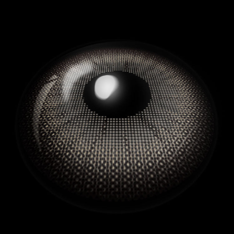 Mocha Sketch Brown Contact Lenses 3D Display