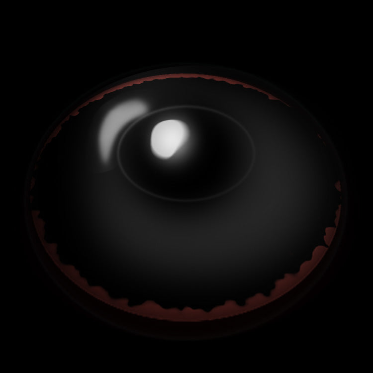 Black Cocoa | 1 Year