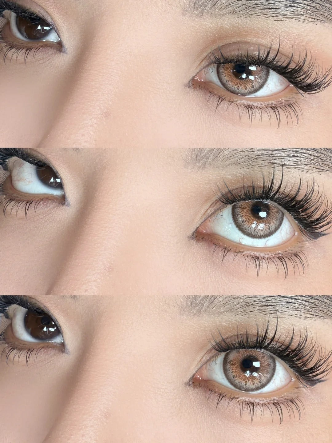 Wildcat Brown | 1 Year