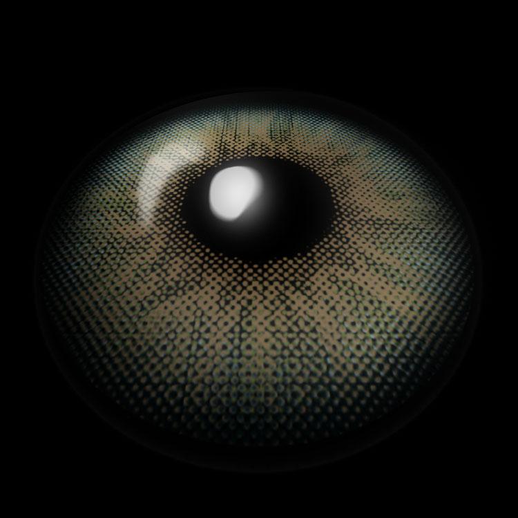 Floralis Green Colored Contact Lenses 3D Display