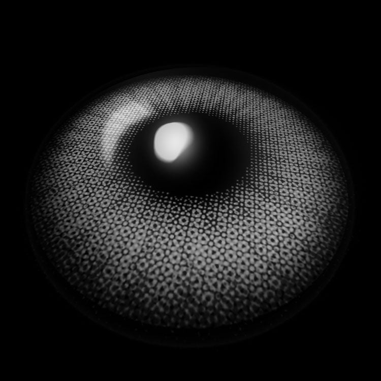 Flora Gray Colored Contact Lenses 3D Display