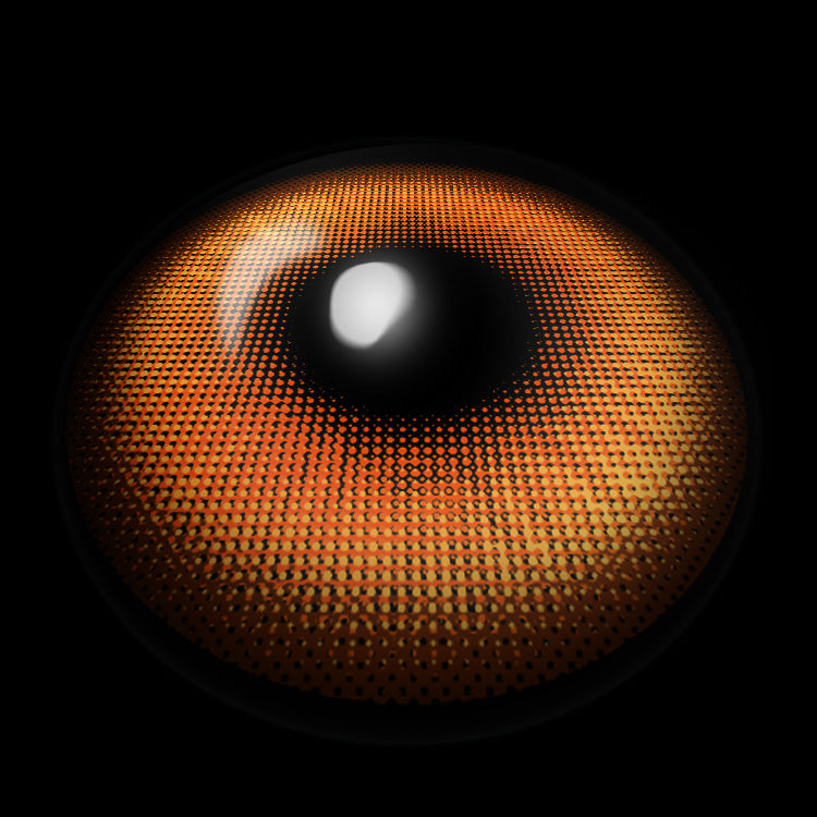 HaloPop D-Hazel | 6 Months