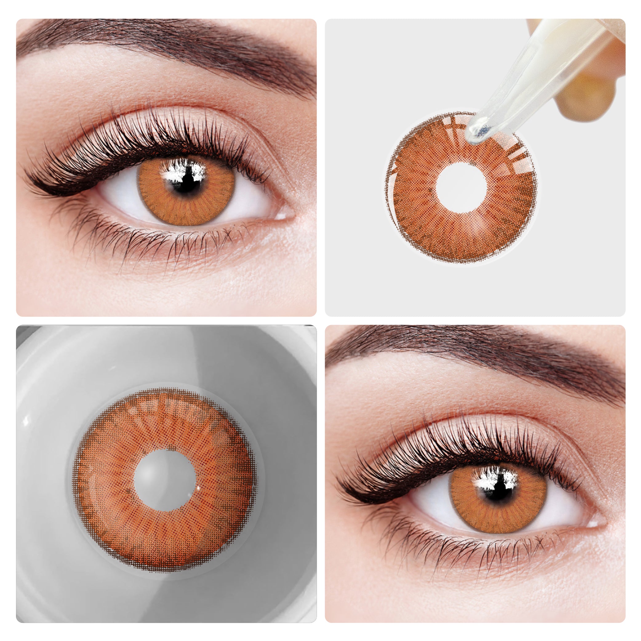 Eyesfav Queen Brown Colored Contact Lenses