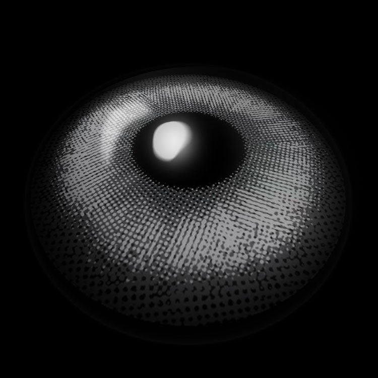 HaloPop Gray Contact Lenses 3D Display