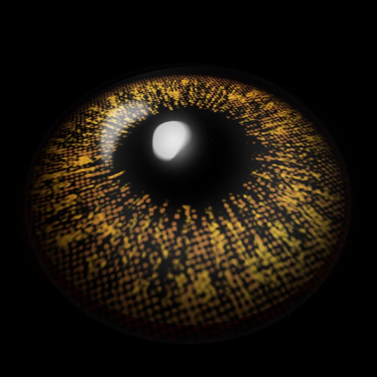 Citrus Orange Contact Lenses 3D Display