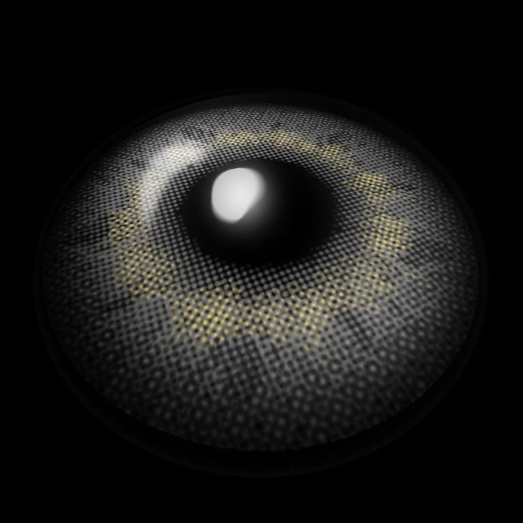 Apricity Gray Contact Lenses 3D Display