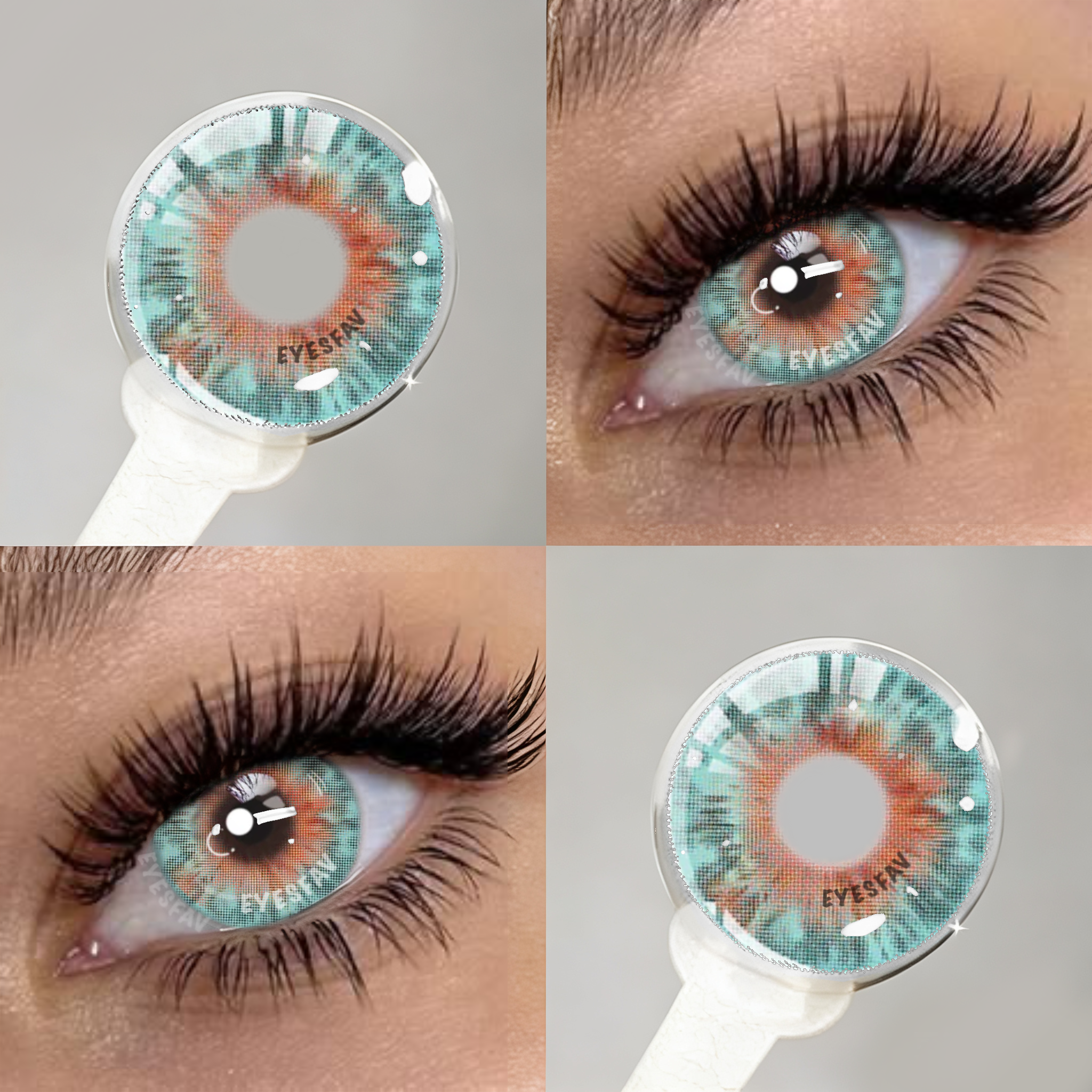 Micro Green | 1 Year