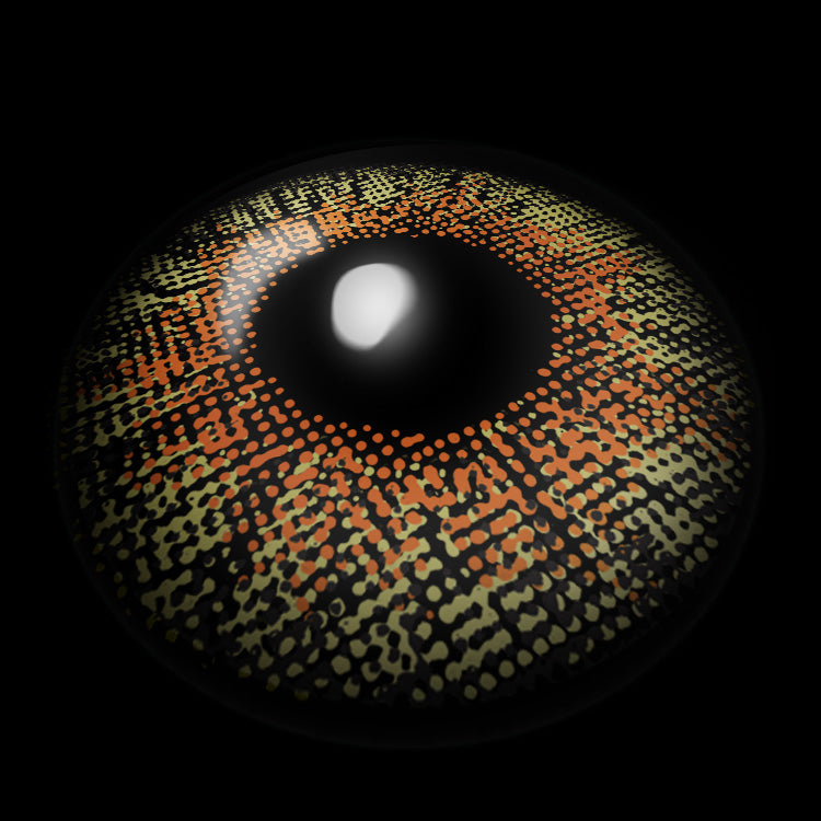 Mystic Yellow | 1 Year