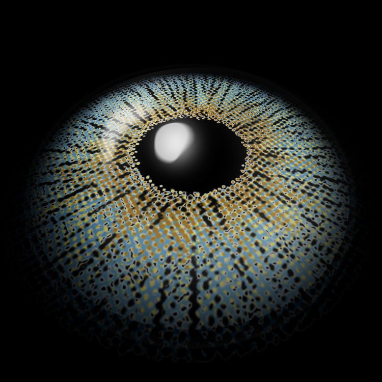 LumiRay Blue Contact Lenses 3D Display