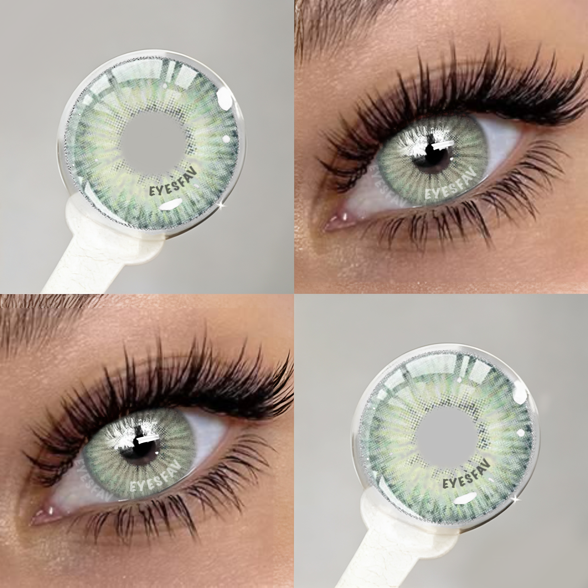 ريبيرث كوزميك جرين | 6 أشهر