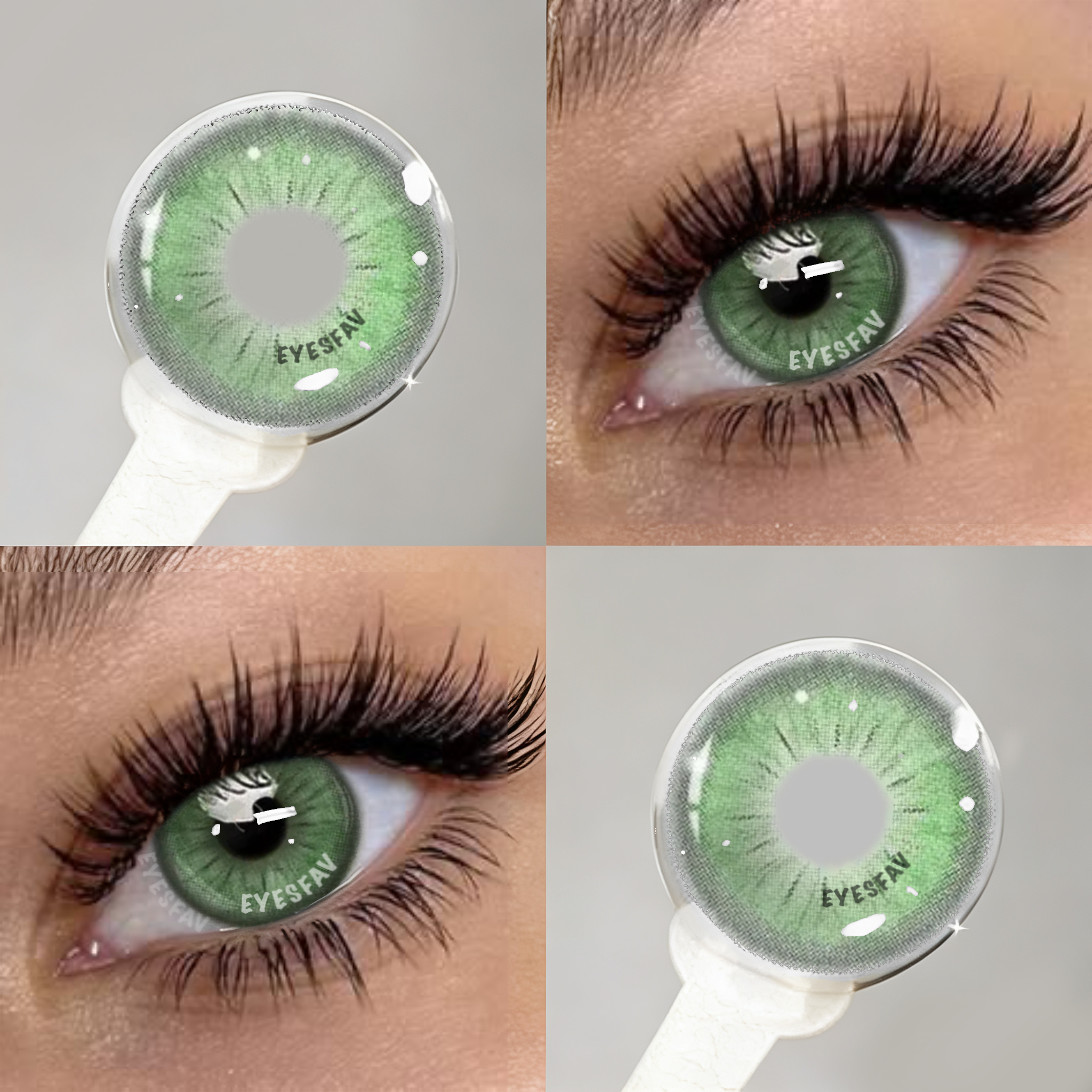 Seattle Green | 1 Year