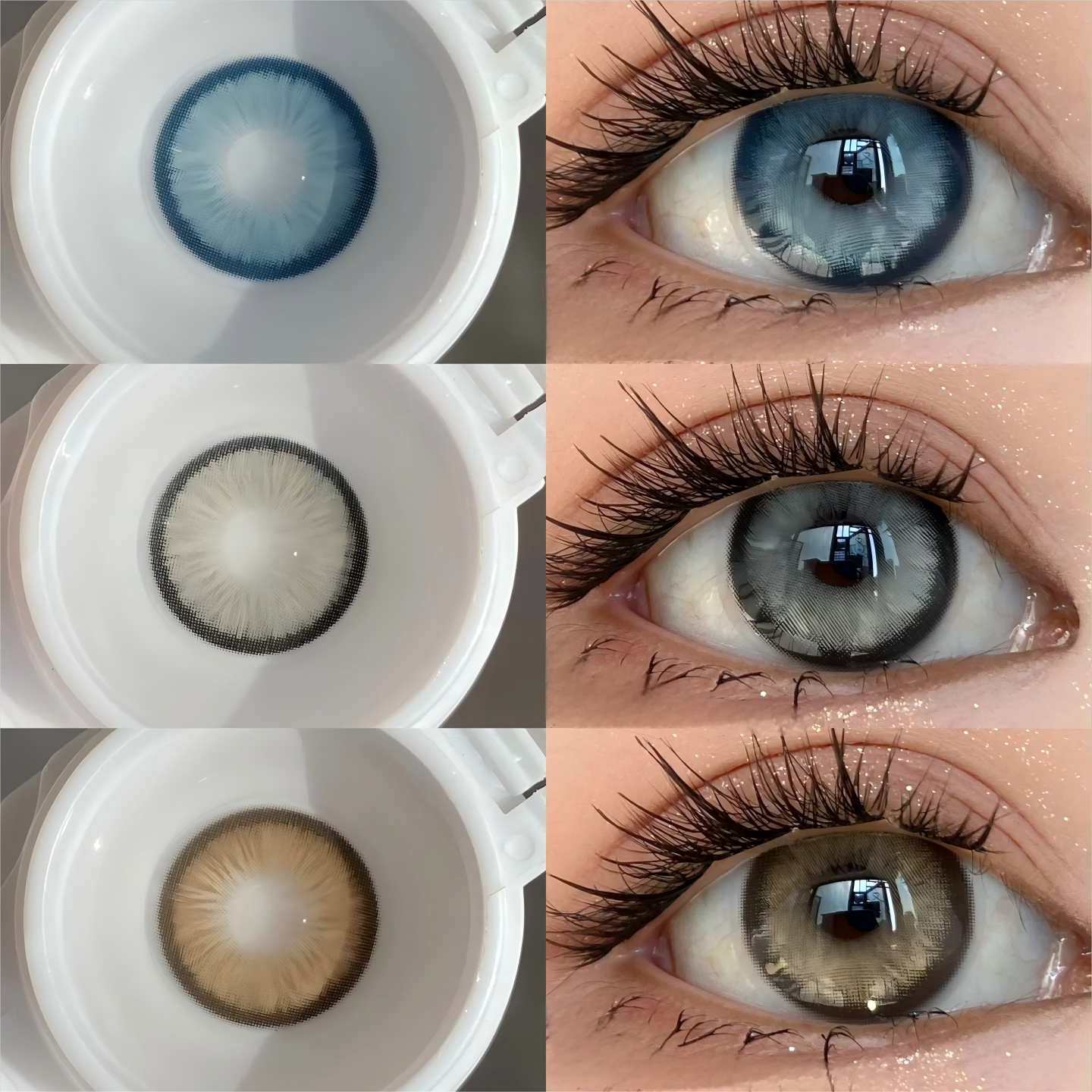 أزرق أبدي | سنة واحدة