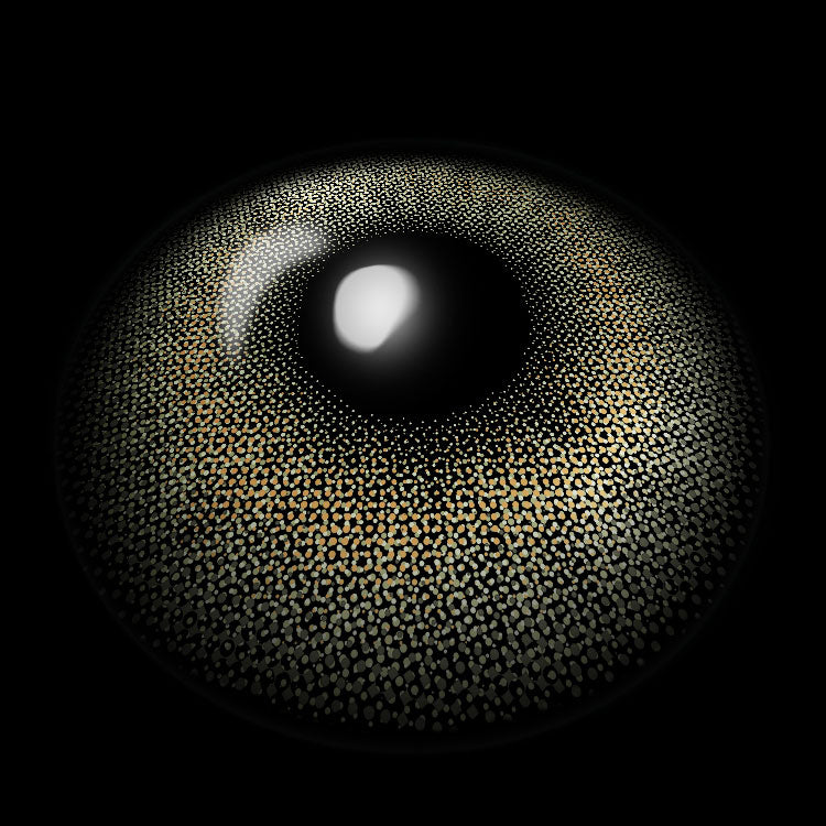 Moonbeam Green-Gray Colored Contact Lenses 3D Display