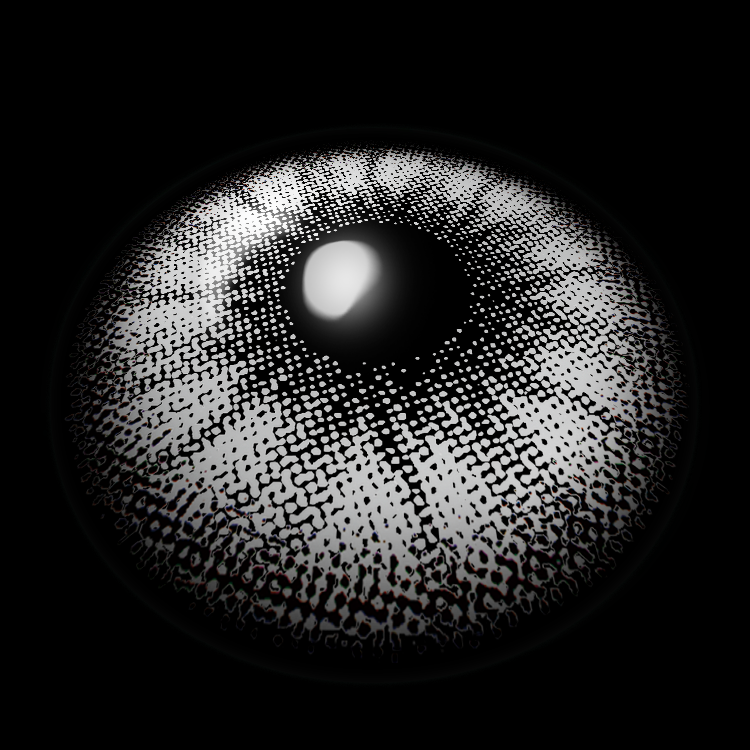 Iris Gray Colored Contact Lenses 3D Display