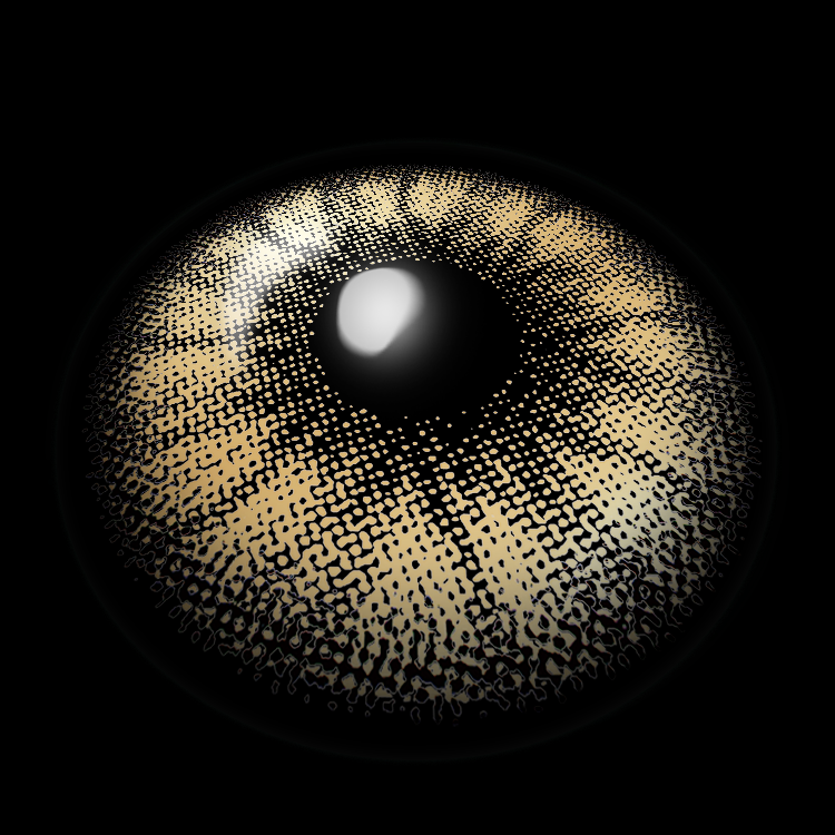 Iris Brown Colored Contact Lenses 3D Display