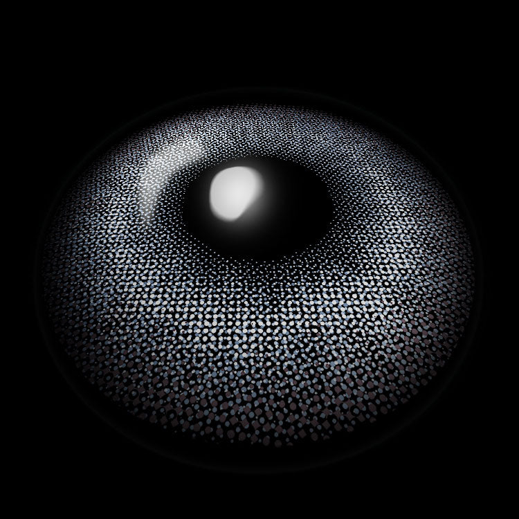 Moonbeam Blue-Gy Colored Contact Lenses 3D Display