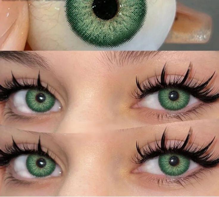 Wildcat Green | 6 Months