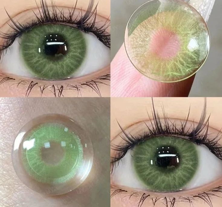 Profound GreenⅡ | 1 Year