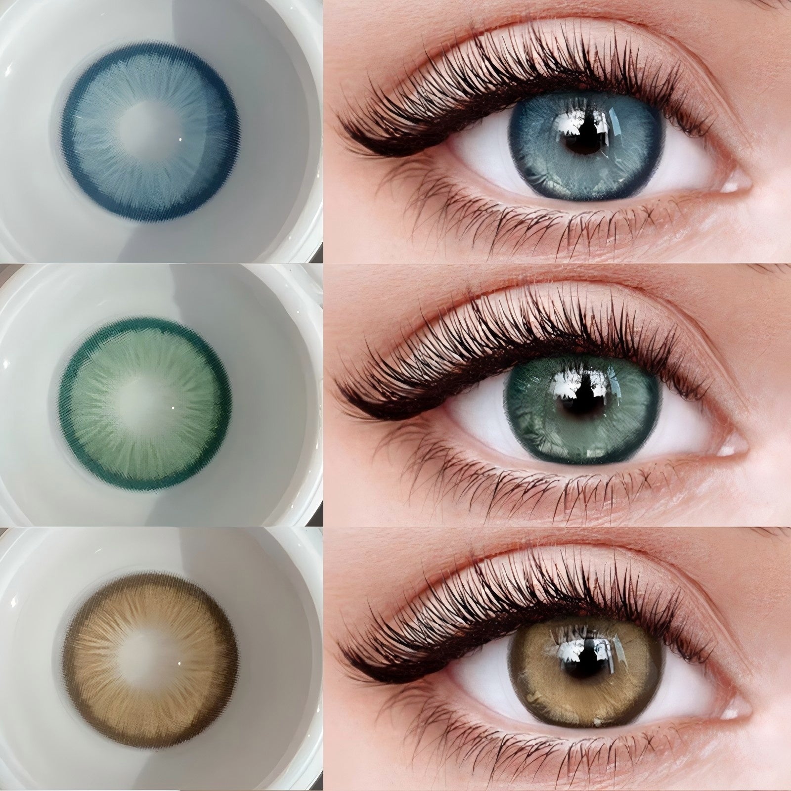 أزرق أبدي | سنة واحدة