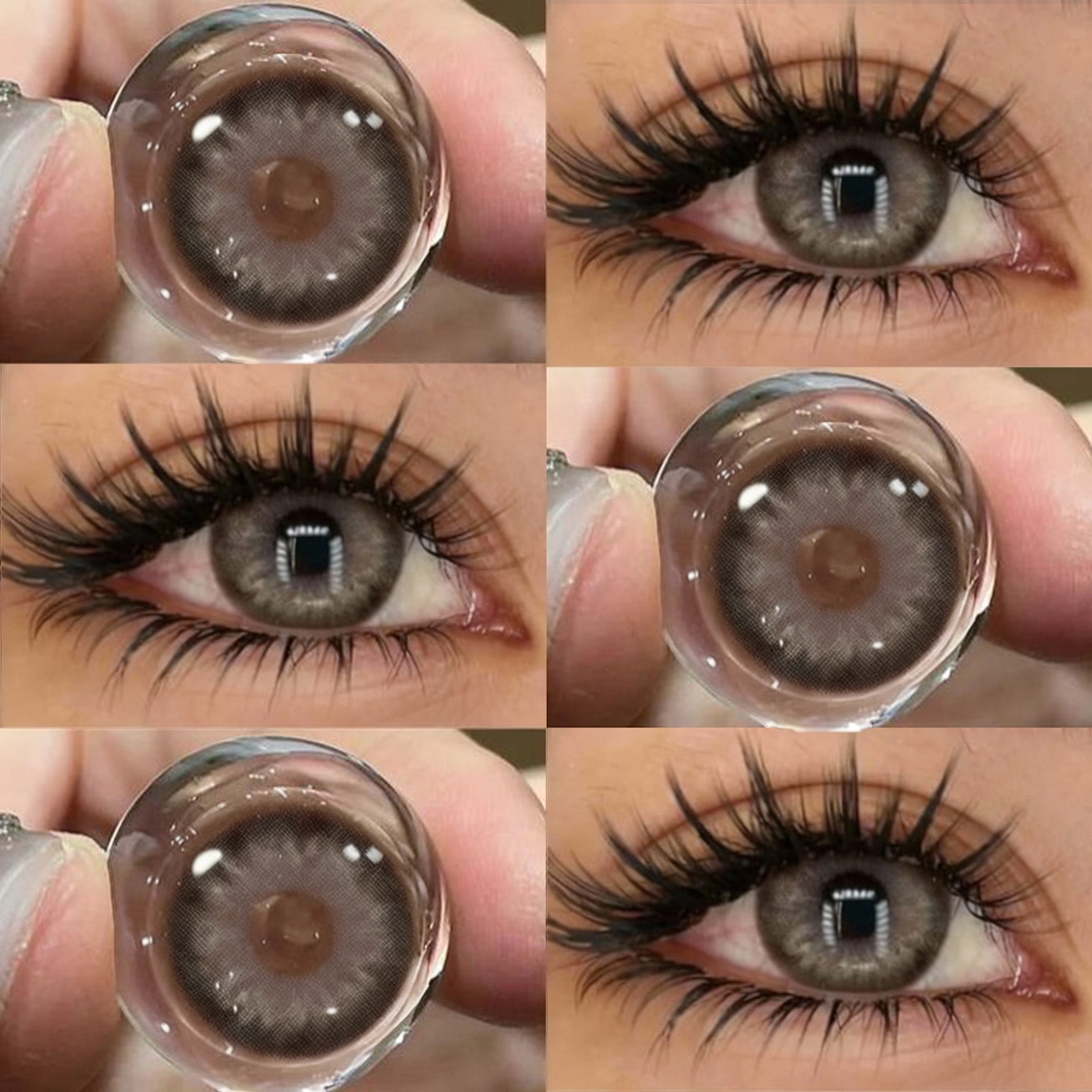 Wildness Wolf Gray | 6 Months