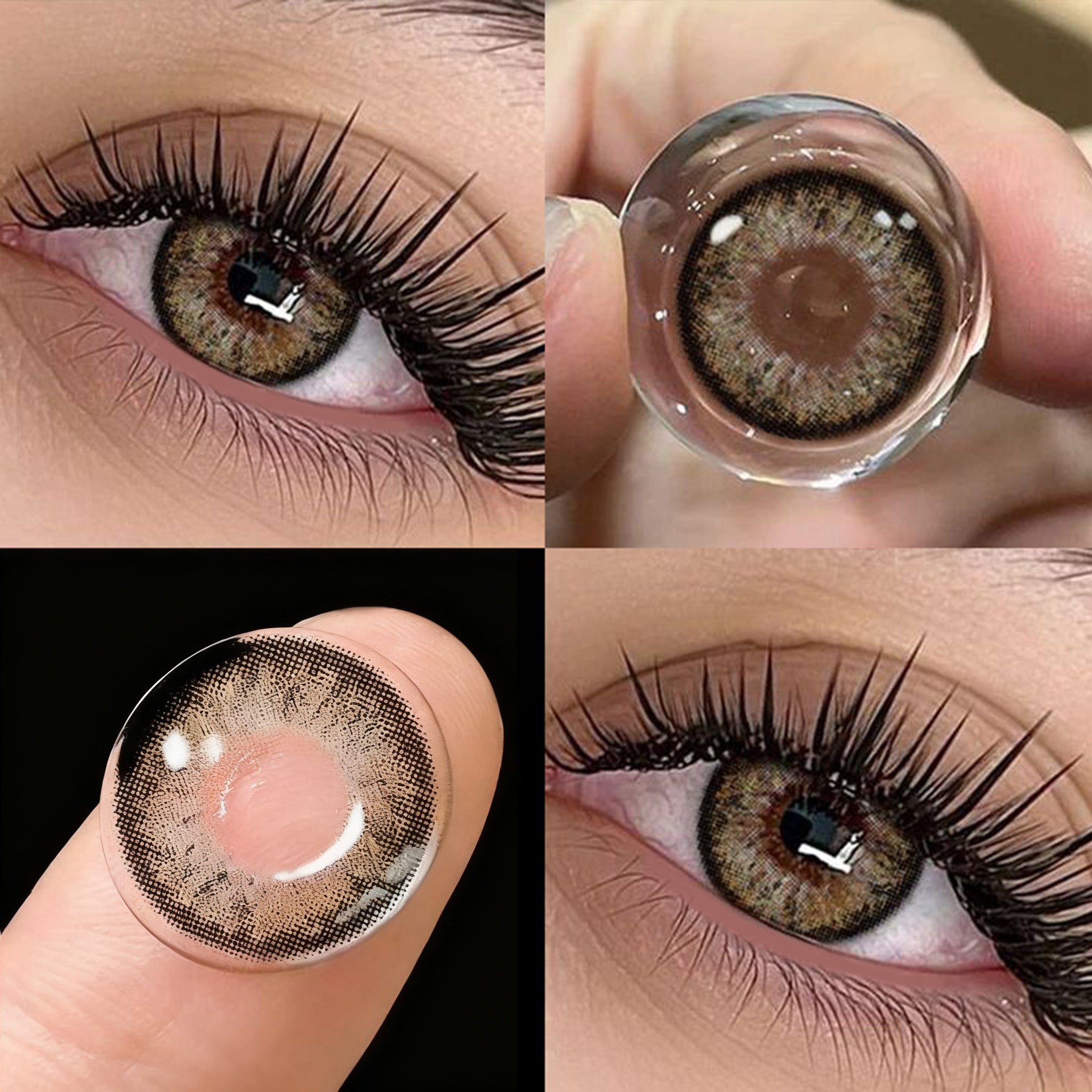 ウルフシャドウ グリームグレー | 1年