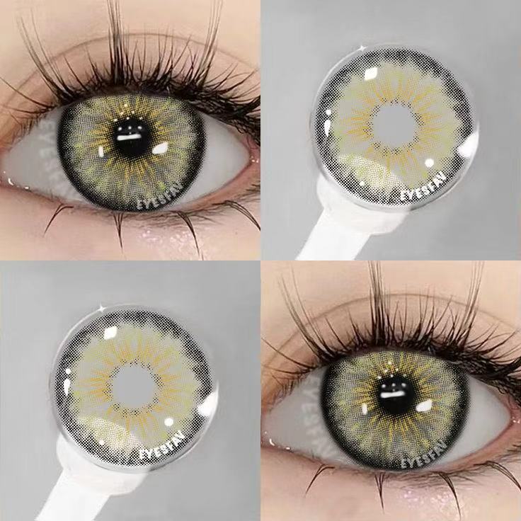 Dolphin Gray | 1 Year