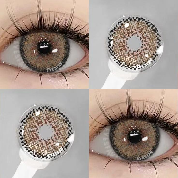 Dolphin Hazel | 1 Year