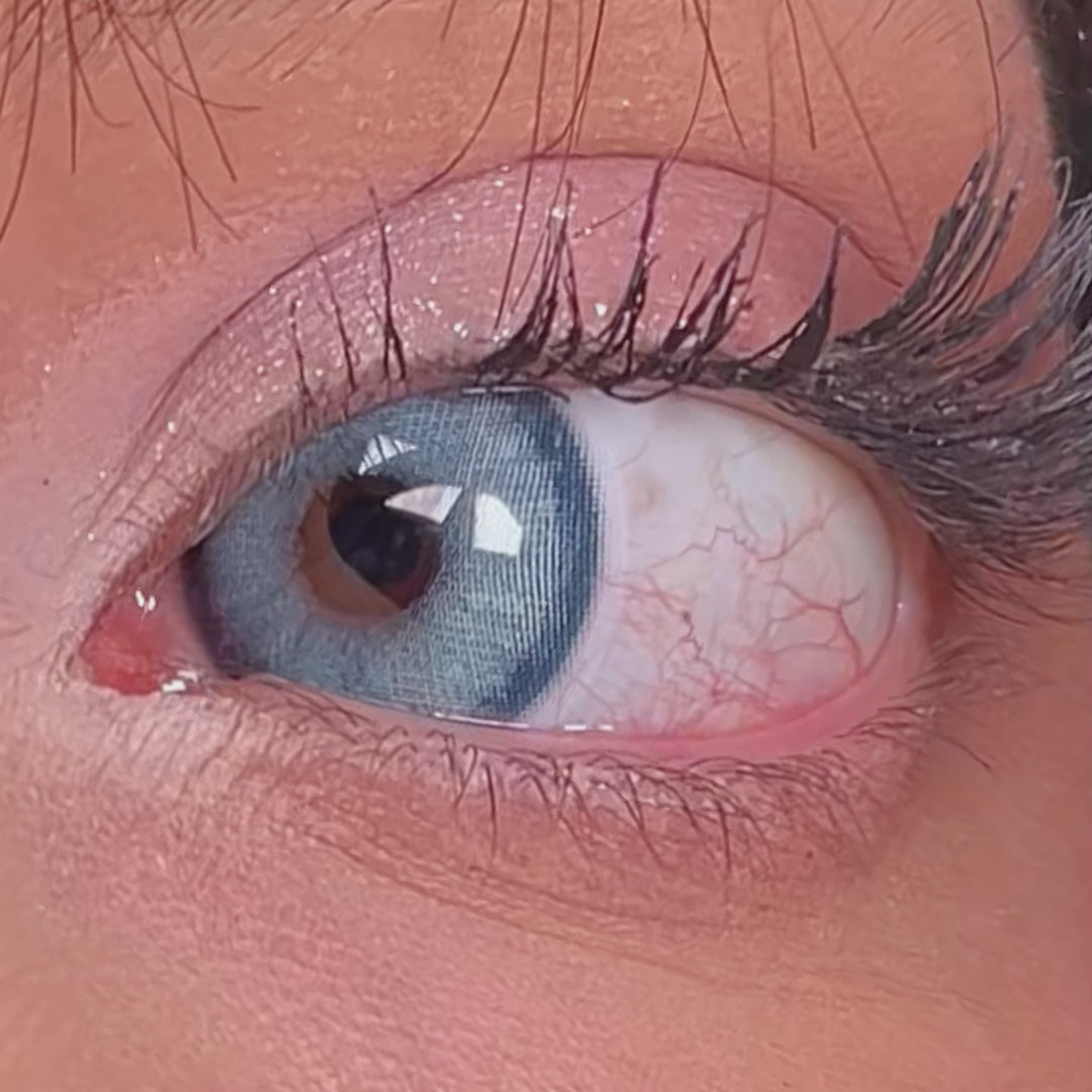 Seattle Blue | 1 Year