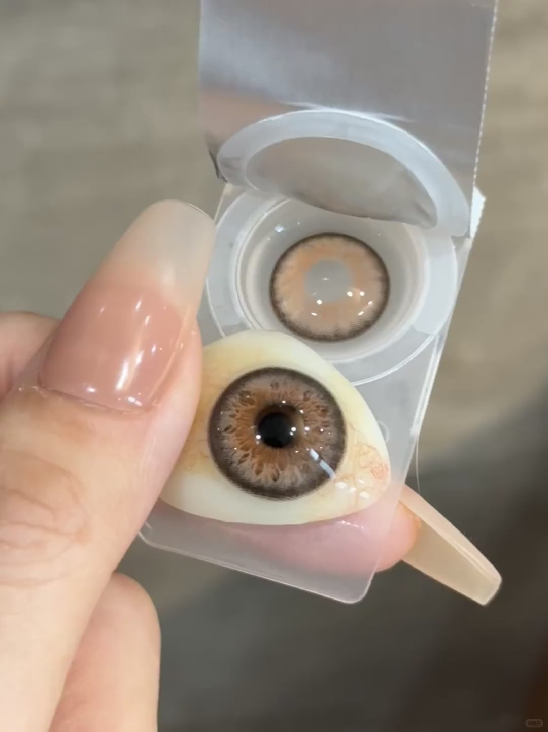 Stormy Hazel | 1 Year